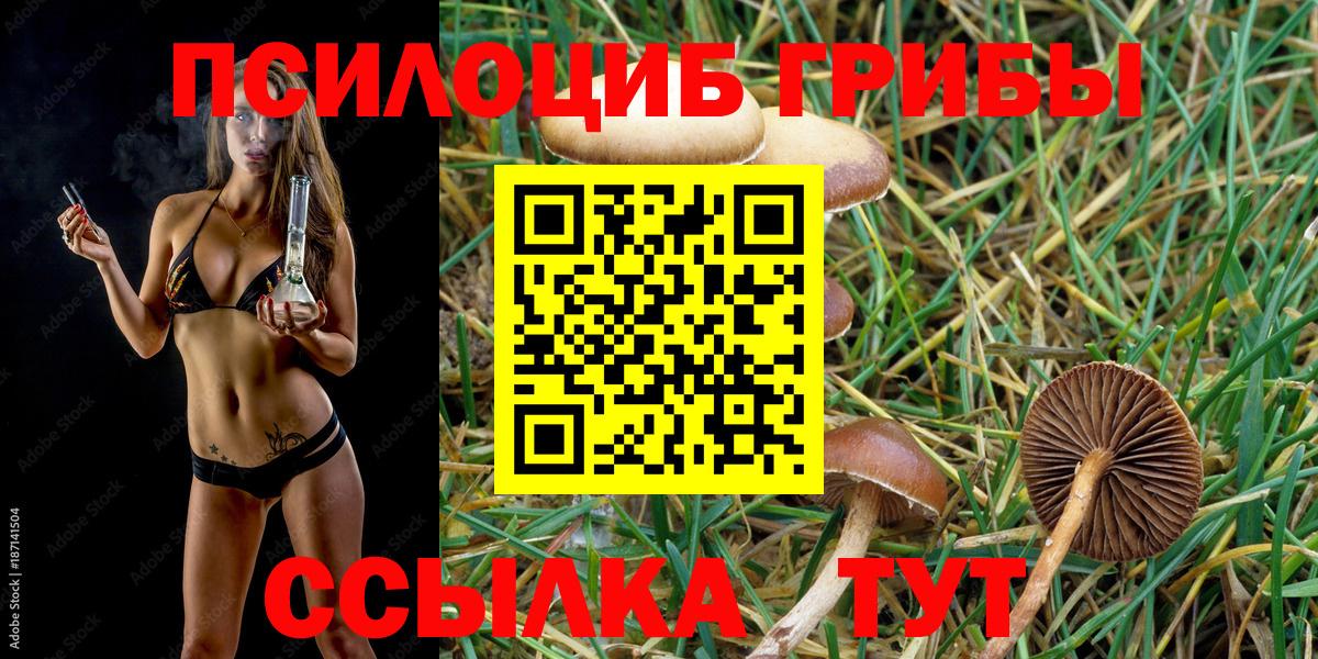Галлюциногенные грибы Magic Shrooms Советский