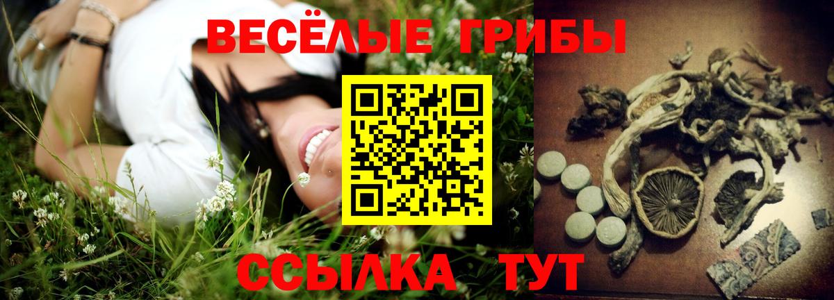 Советский  Галлюциногенные грибы мухоморы  Вход с VPN 